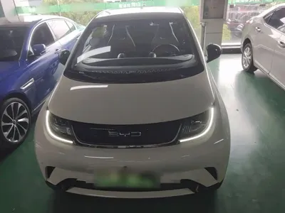 BYD Dolphin 2023, 18700 км, за 10182.26 USD