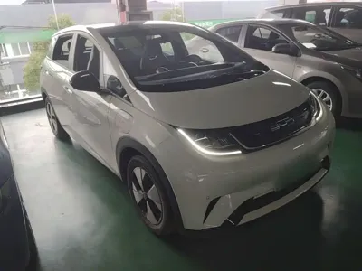 BYD Dolphin 2023, 18700 км, за 10182.26 USD