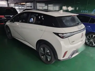 BYD Dolphin 2023, 18700 км, за 10182.26 USD