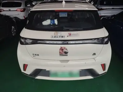 BYD Dolphin 2023, 18700 км, за 10182.26 USD - фото 6