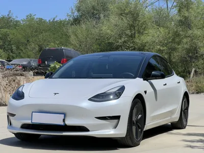 Tesla Model 3 · 2021 год