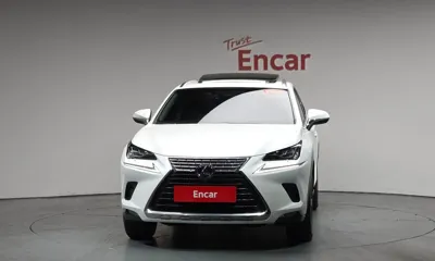 Lexus NX 2019, 77423 км, за 22427.35 USD