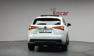 Lexus NX 2019, 77423 км, за 22427.35 USD