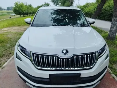 Skoda Kodiaq 2021, 79400 км, за 11623 USD