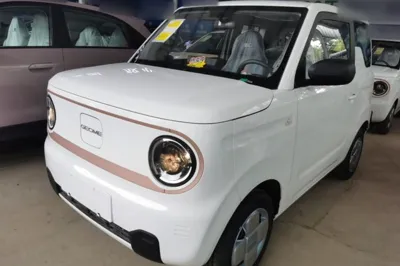 Geely Galaxy Panda · 2024 год