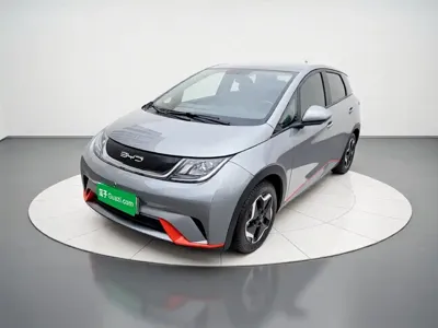BYD Dolphin · 2023 год