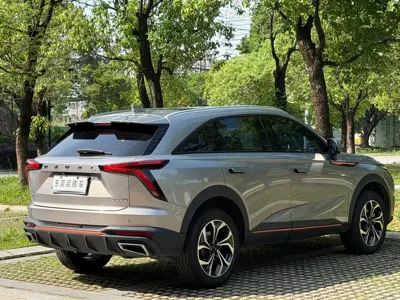 Haval Shenshou 2022, 40000 км, за 8187.34 USD