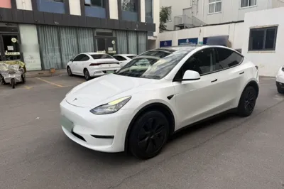Tesla Model Y · 2023 год