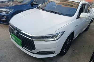BYD Qin New Energy · 2019 год