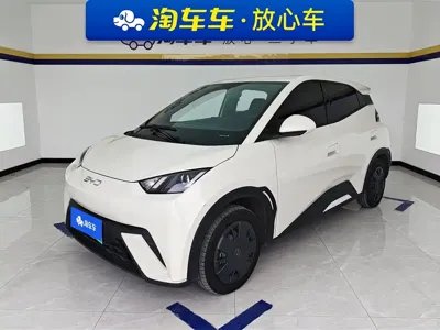 BYD Seagull · 2024 год