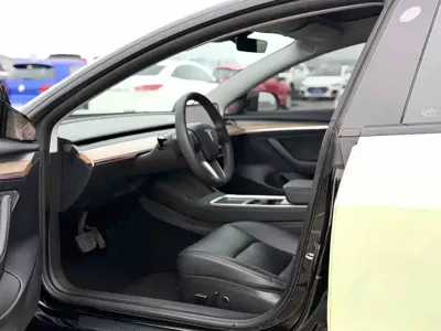 Tesla Model 3 2021, 56000 км, за 12808.13 USD