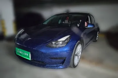 Tesla Model 3 · 2021 год