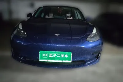 Tesla Model 3 2021, 97100 км, за 17437 USD