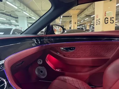 Bentley Continental 2019, 47000 км, за 140403.02 USD - фото 14