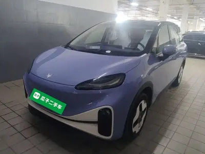 Arcfox Kaola · 2024 год