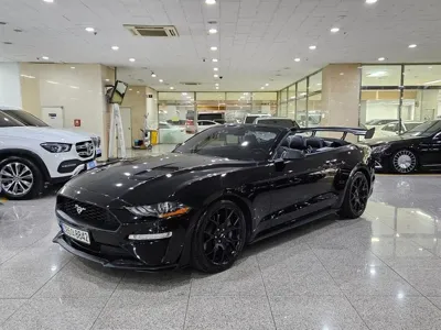 Ford Mustang · 2019 год