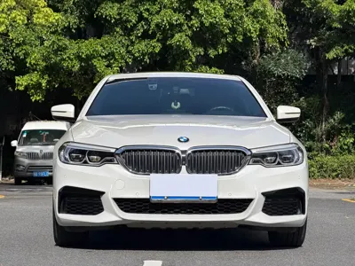 BMW 5 Series 2020, 49000 км, за 26456.23 USD