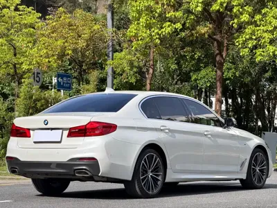 BMW 5 Series 2020, 49000 км, за 26456.23 USD - фото 24