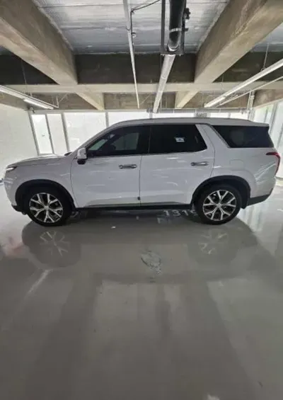 Hyundai Palisade 2022, 114036 км, за 3229.62 USD