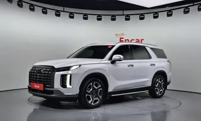 Hyundai Palisade · 2024 год