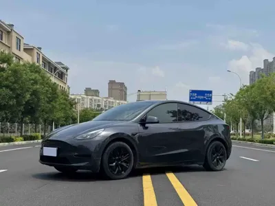 Tesla Model Y · 2024 год