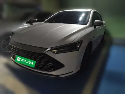 BYD Qin Plus · 2021 год