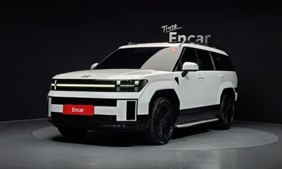 Hyundai Santafe · 2024 год
