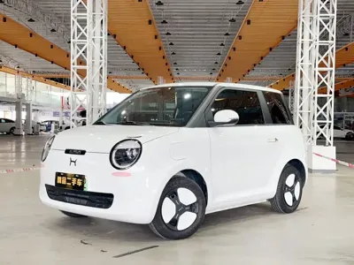 Qiyuan Lumin · 2025 год