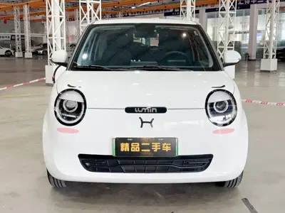 Qiyuan Lumin 2025, 5000 км, за 5725.29 USD