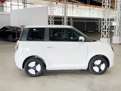 Qiyuan Lumin 2025, 5000 км, за 5725.29 USD