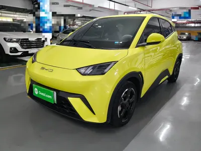 BYD Seagull 2023, 55500 км, за 7381.86 USD