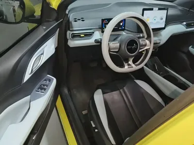BYD Seagull 2023, 55500 км, за 7315.48 USD - фото 16