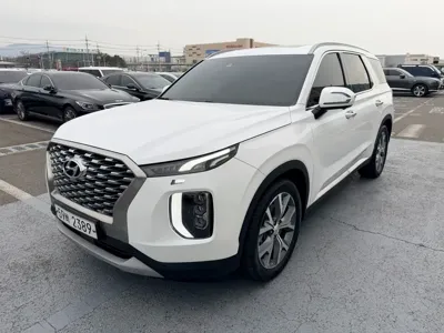 Hyundai Palisade · 2019 год