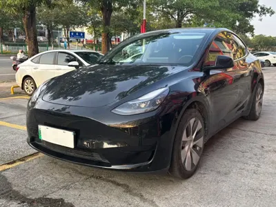 Tesla Model Y · 2022 год