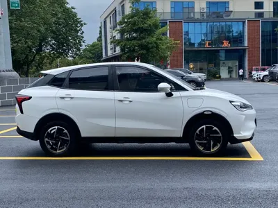 NETA Neta V 2022, 50000 км, за 5856.27 USD