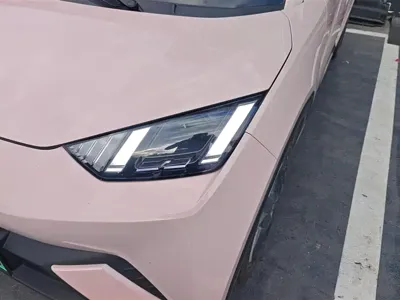 BYD Seagull 2024, 54600 км, за 6777.76 USD