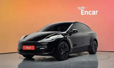Tesla Model Y · 2024 год
