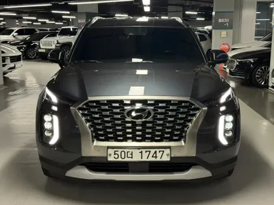 Hyundai Palisade · 2019 год