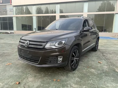 Volkswagen Tiguan · 2015 год