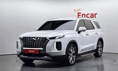 Hyundai Palisade · 2019 год