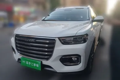 Haval H6 · 2020 год