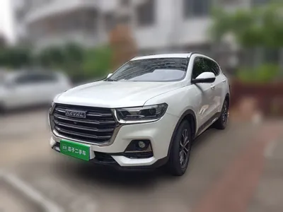 Haval H6 · 2021 год