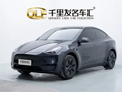 Tesla Model Y · 2024 год