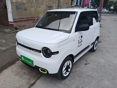 Galaxy Panda 2025, 21000 км, за 4680.58 USD