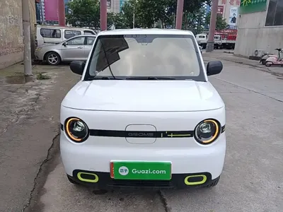Galaxy Panda 2025, 21000 км, за 4680.58 USD