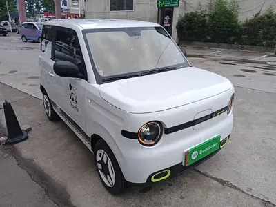 Galaxy Panda 2025, 21000 км, за 4680.58 USD
