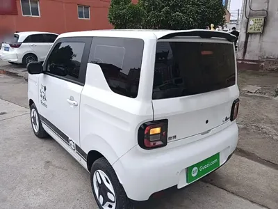Galaxy Panda 2025, 21000 км, за 4680.58 USD