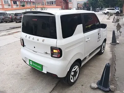 Galaxy Panda 2025, 21000 км, за 4680.58 USD - фото 7