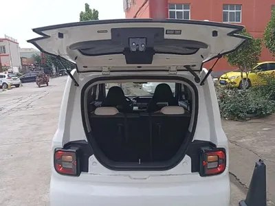 Galaxy Panda 2025, 21000 км, за 4680.58 USD - фото 19