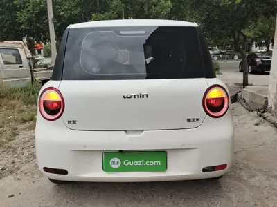 Qiyuan Lumin 2025, 100 км, за 5973.84 USD